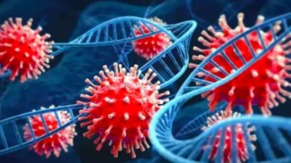 XE கொரோனா வகைகள் 