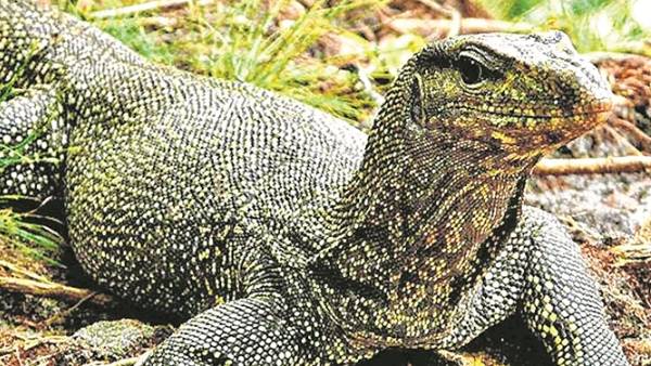 வண்டவாளம் வண்டவாளம்