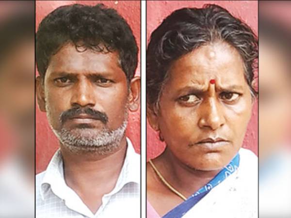 மலர்க்கொடி