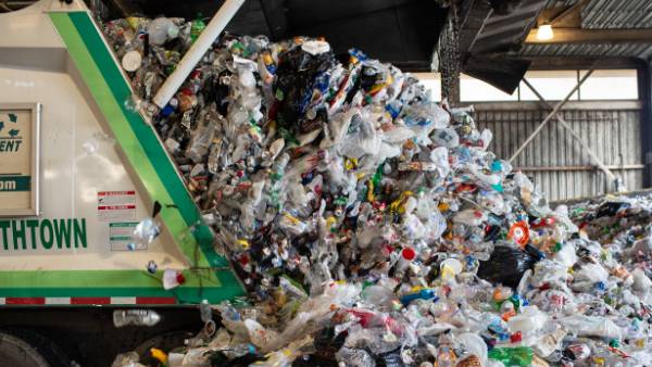 நச்சுத்தன்மை 