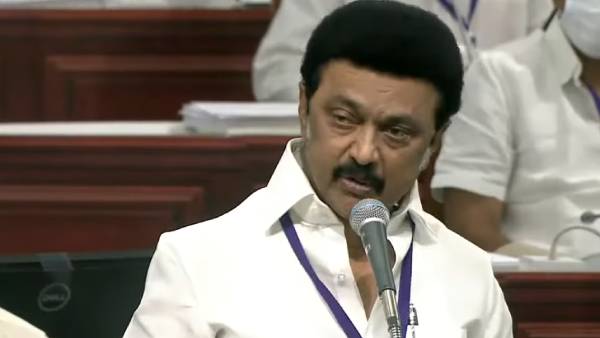 முதல்வர் ஸ்டாலின் 