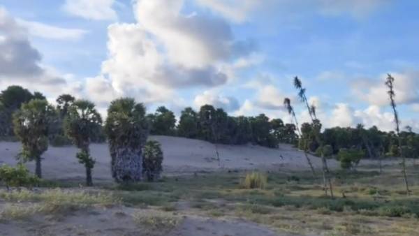  தெற்கு பொய்கைநல்லூர் 