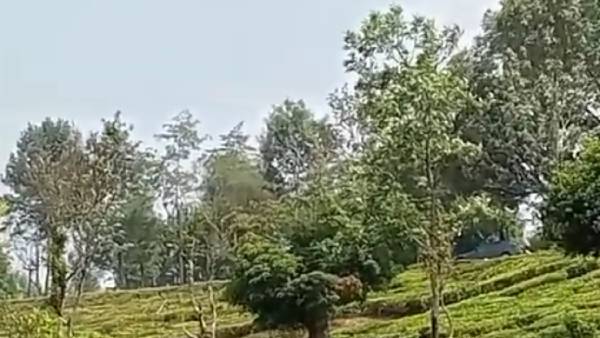 200 மீட்டர் உயரம் 200 மீட்டர் உயரம்