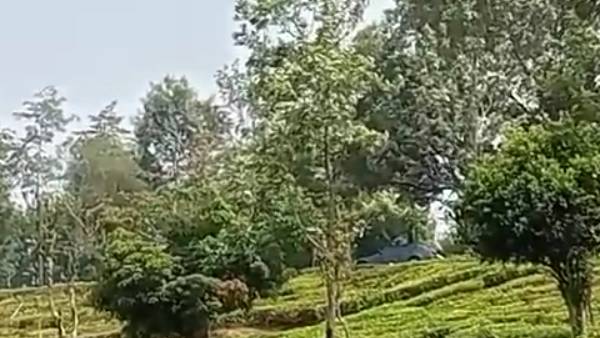 எச்சரிக்கை எச்சரிக்கை