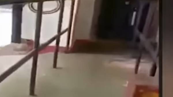 விடிய விடிய தொங்கிய திருடன் 