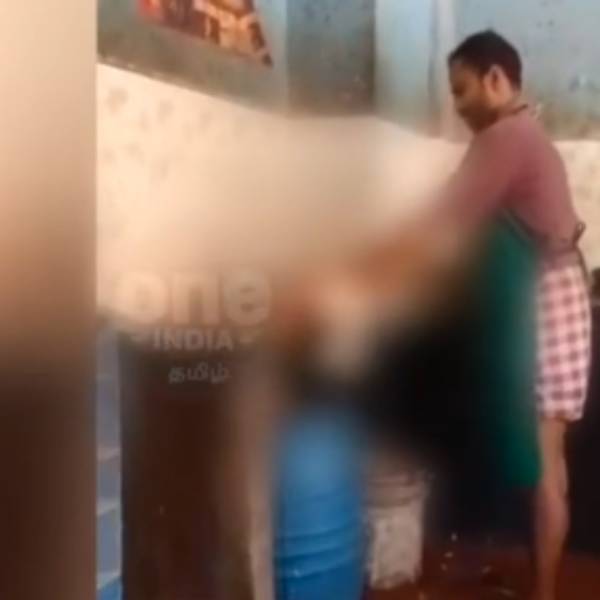  கதறி அழும் கோழி