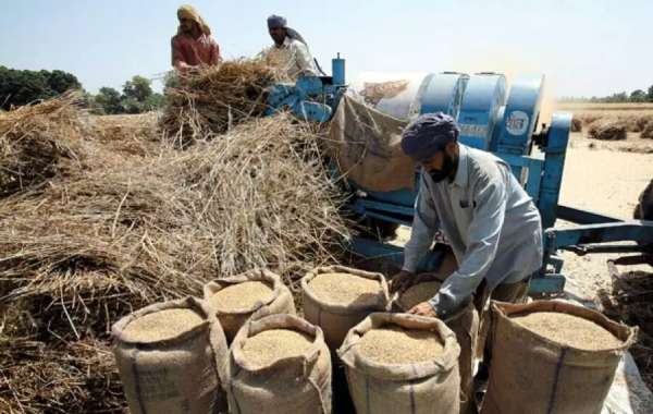 இந்தியாவின் இலக்கு