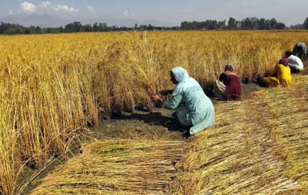 அதிக விலைக்கு வாங்கனும்
