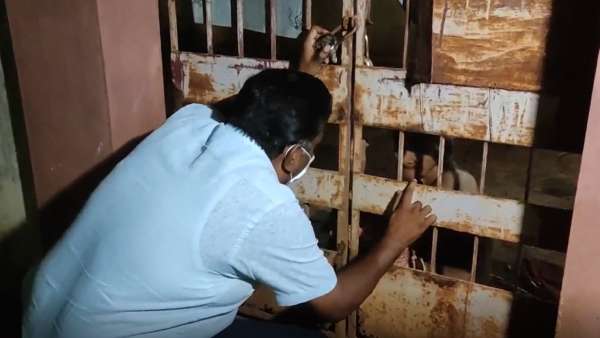  பிஸ்கட்டுகள்