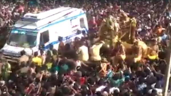 தங்க குதிரை 