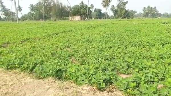 பெரும் அதிர்ச்சி பெரும் அதிர்ச்சி