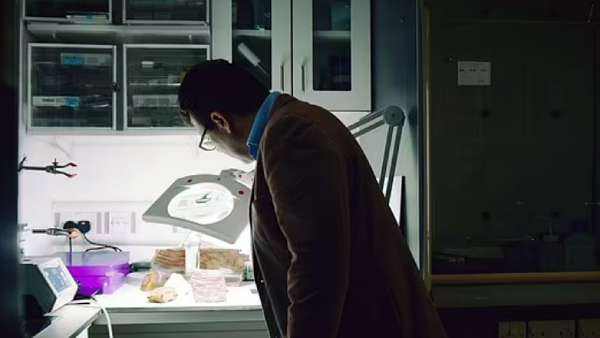  பாக்டீரியா 