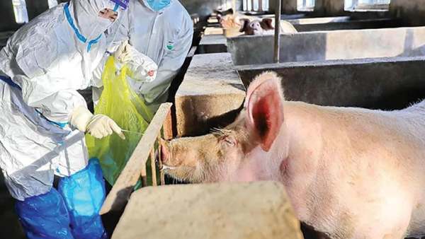  அறிகுறிகள்