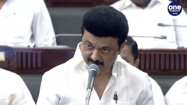 முதல்வர் ஸ்டாலின் 