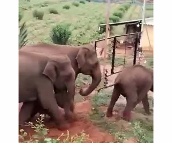 கோவை வனப்பகுதி 