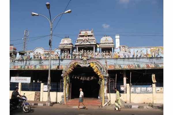 தனி நீதிபதி உத்தரவு 