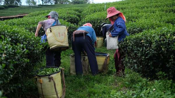 இந்தியாவுக்கு வாய்ப்பு இந்தியாவுக்கு வாய்ப்பு