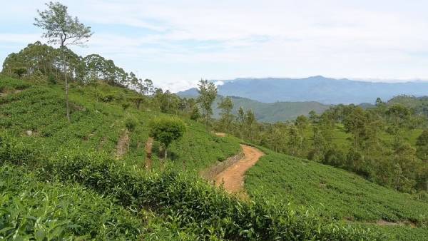  அத்தியாவசிய உணவுப் பொருட்கள்