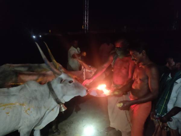 இலவசமாக பால் 