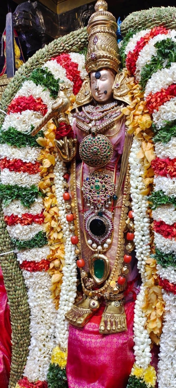 தங்க காசுமாலை தங்க காசுமாலை