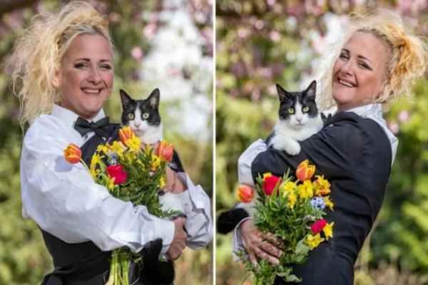 கூறு கெட்ட குக்கர் கூறு கெட்ட குக்கர்