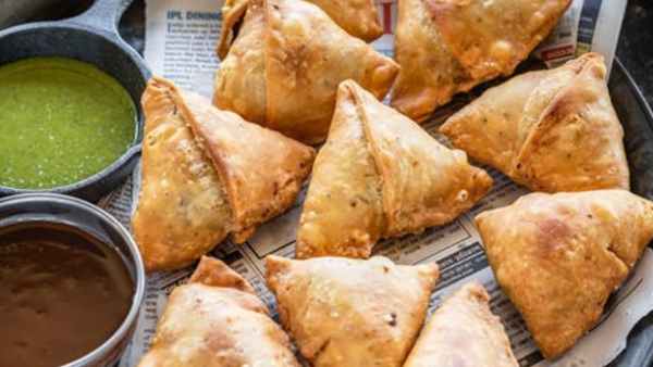 பூச்சி, எலிகள் 