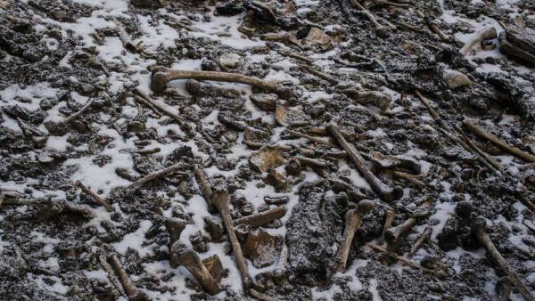 பிரிட்டிஷ் ஆட்சியில் கண்டுபிடிப்பு 