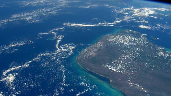 பிரான்ஸ் 5 ஊடகம்