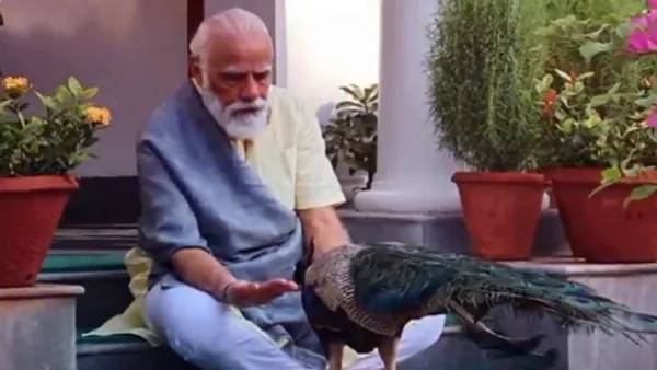 குஜராத் முதலமைச்சர் குஜராத் முதலமைச்சர்