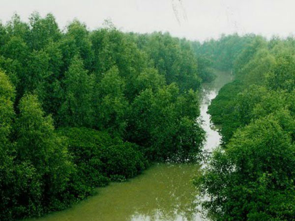  பருவநிலை மாற்றம் 