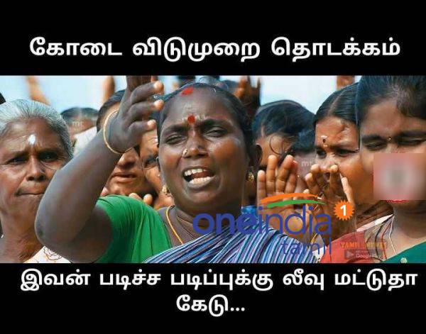 Viral memes collection on summer holidays