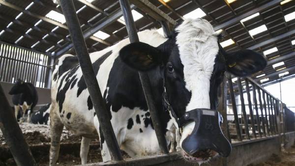  புவி வெப்ப மயமாதல்