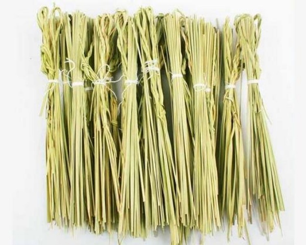 தர்ப்பை புல்