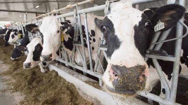  130 கேலன்கள்