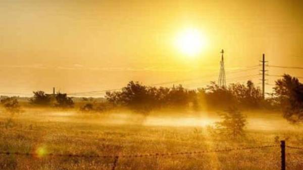 கோடை காலத்தில் என்ன குடிக்கலாம் 