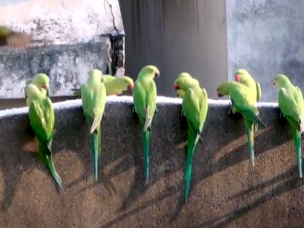 இறை சக்தி வீட்டில் நிறைய இதை செய்யுங்கள் 