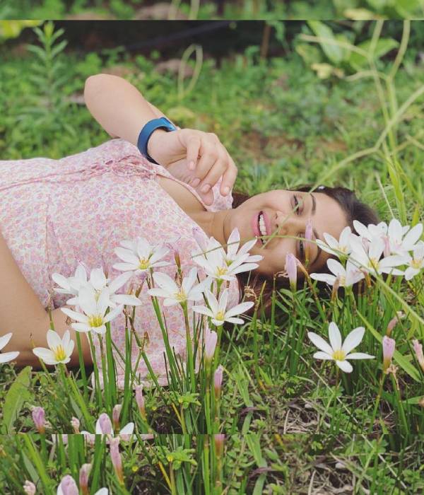 புல் தரையில் பட்டாம்பூச்சி 