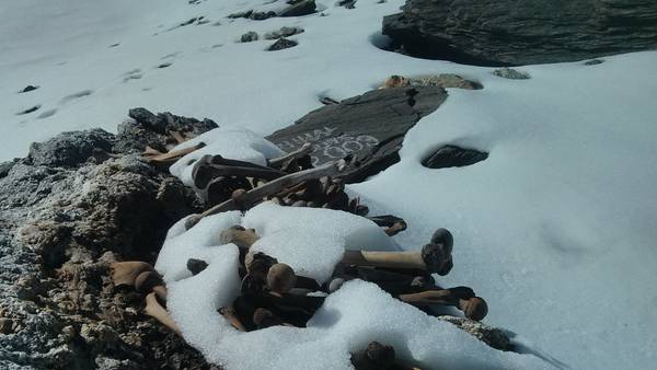 டி.என்.ஏ. சோதனை 