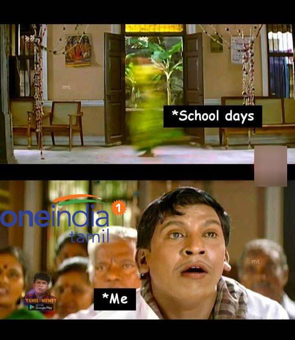 Viral memes collection on summer holidays