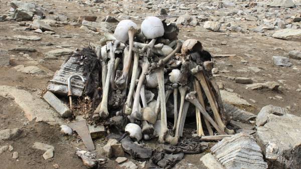 எலும்புக்கூடுகள் எலும்புக்கூடுகள்