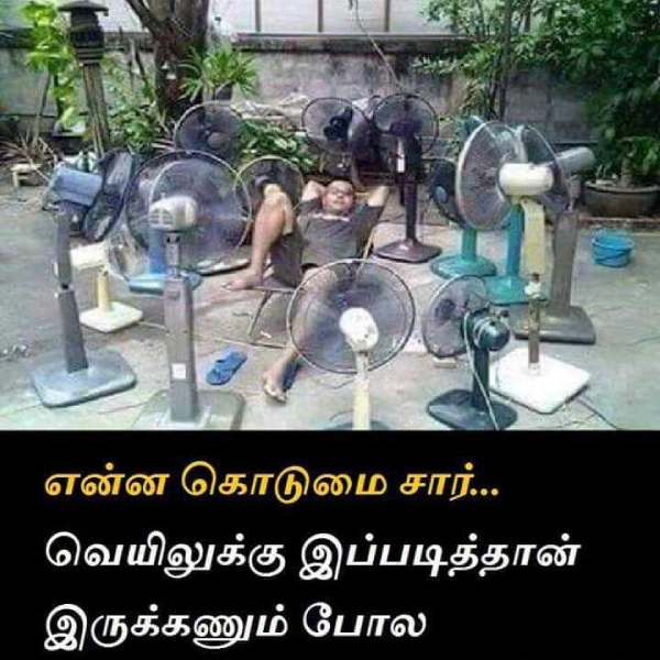 Funny memes collection on summer heat