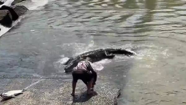 தூண்டிலில் சிக்கிய மீன்