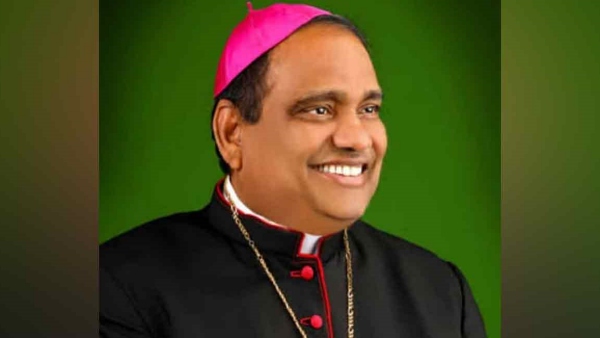  புதிய கார்டினல்கள் 