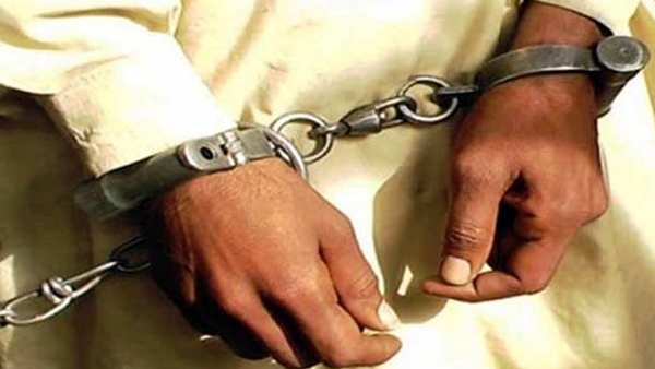 ஒட்டகம்