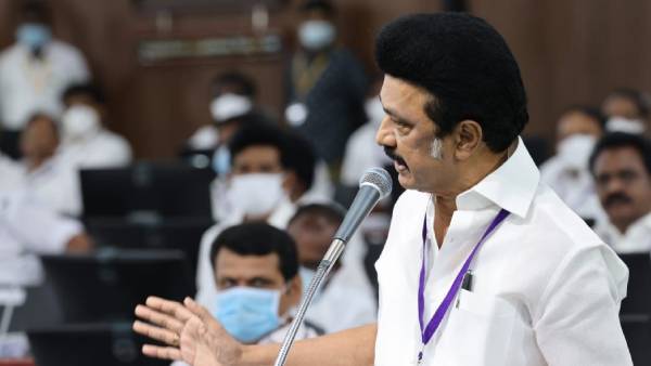  உடன்பிறப்புகள் உற்சாகம் 