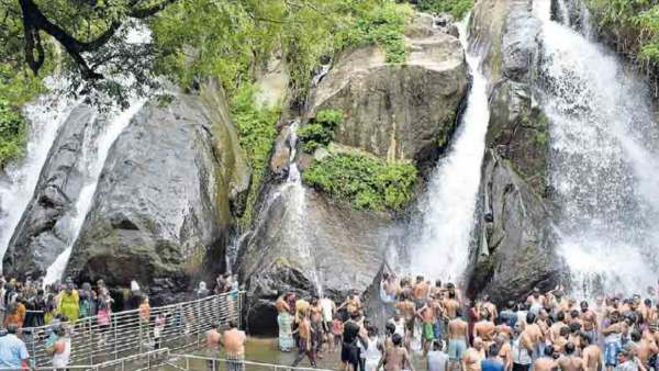  களைகட்டும் சீசன் 