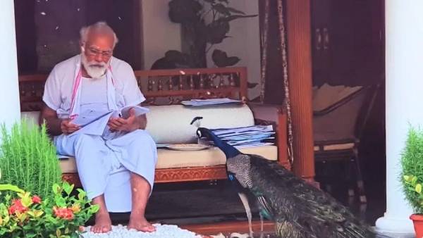 இரக்கம் காட்டக்கூடியவர் இரக்கம் காட்டக்கூடியவர்