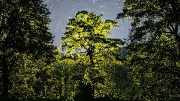  விஷத்தன்மை