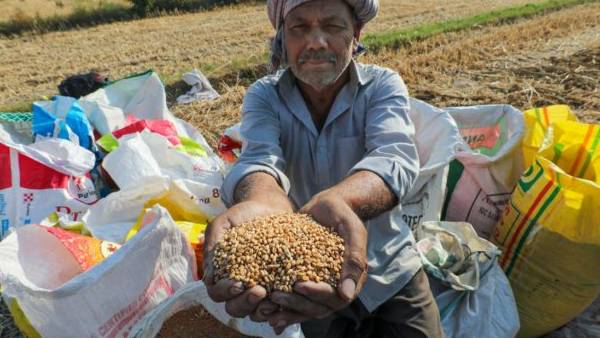 கோதுமை தட்டுப்பாடு 