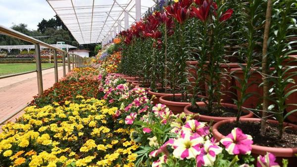 மஞ்சப்பை விழிப்புணர்வு மஞ்சப்பை விழிப்புணர்வு